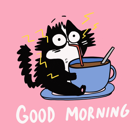 Good Morning cat